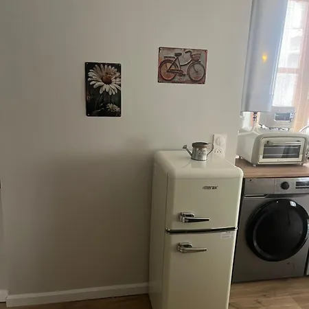 Appartement Hyper Centre Grenoble